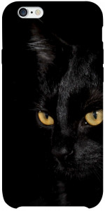 Чехол Черный кот для iPhone 6 plus (5.5'')