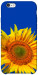 Чохол Sunflower для iPhone 6