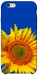 Чохол Sunflower для iPhone 6