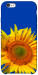 Чехол Sunflower для iPhone 6