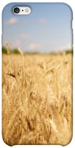 Чехол Поле пшеницы для iPhone 6 (4.7'')