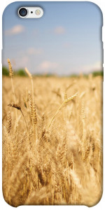 Чехол Поле пшеницы для iPhone 6 plus (5.5'')