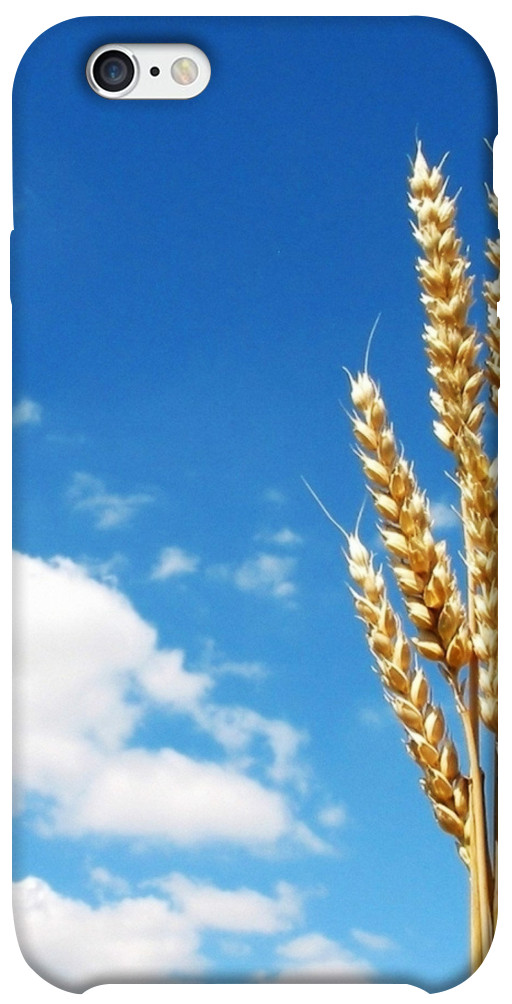 Чехол Пшеница для iPhone 6