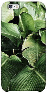 Чехол Тропическая листва для iPhone 6 (4.7'')