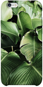 Чехол Тропическая листва для iPhone 6s plus (5.5'')