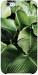 Чехол Тропическая листва для iPhone 6S Plus