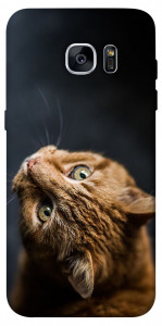 Чехол Рыжий кот для Galaxy S7 Edge