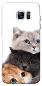 Чехол Три кота для Galaxy S7 Edge