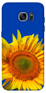 Чехол Sunflower для Galaxy S7 Edge