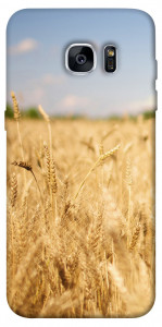Чехол Поле пшеницы для Galaxy S7 Edge