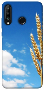 Чохол Пшениця для Huawei P30 Lite