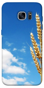 Чехол Пшеница для Galaxy S7 Edge
