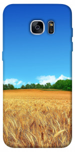 Чехол Пшеничное поле для Galaxy S7 Edge