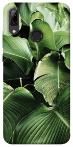 Чехол Тропическая листва для Huawei P Smart (2019)