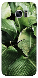 Чехол Тропическая листва для Galaxy S7 Edge