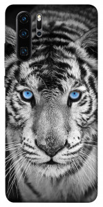 Чехол Бенгальский тигр для Huawei P30 Pro