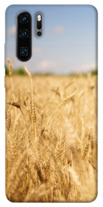 Чехол Поле пшеницы для Huawei P30 Pro