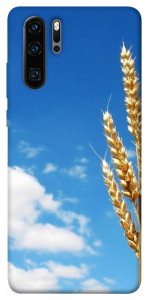 Чохол Пшениця для Huawei P30 Pro