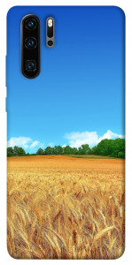 Чехол Пшеничное поле для Huawei P30 Pro