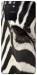 Чехол Зебра для Galaxy S10 Lite (2020)
