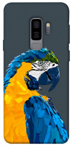 Чехол Попугай для Galaxy S9+