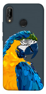 Чехол Попугай для Huawei P20 Lite