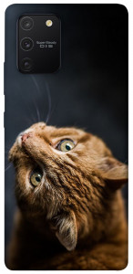 Чохол Рудий кіт для Galaxy S10 Lite (2020)