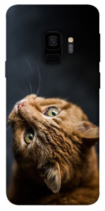 Чехол Рыжий кот для Galaxy S9