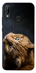 Чехол Рыжий кот для Huawei P20 Lite