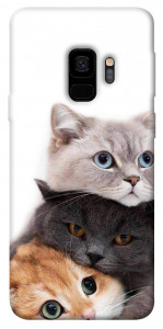 Чехол Три кота для Galaxy S9