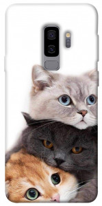 Чехол Три кота для Galaxy S9+