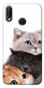Чехол Три кота для Huawei P20 Lite