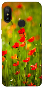 Чехол Маковое поле для Xiaomi Redmi 6 Pro