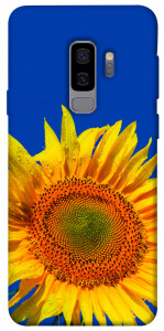 Чохол Sunflower для Galaxy S9+