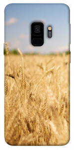 Чехол Поле пшеницы для Galaxy S9