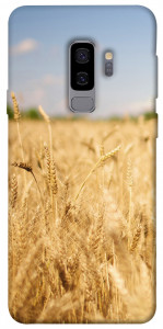 Чехол Поле пшеницы для Galaxy S9+