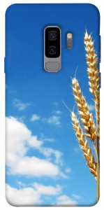 Чехол Пшеница для Galaxy S9+