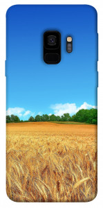 Чехол Пшеничное поле для Galaxy S9