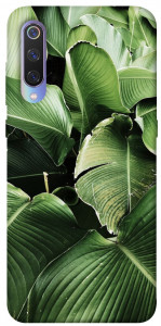 Чехол Тропическая листва для Xiaomi Mi 9