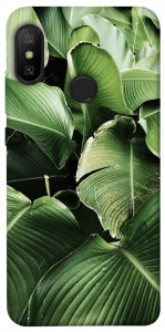 Чехол Тропическая листва для Xiaomi Mi A2 Lite
