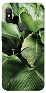 Чехол Тропическая листва для Xiaomi Redmi Note 6 Pro
