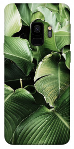 Чехол Тропическая листва для Galaxy S9