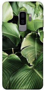 Чехол Тропическая листва для Galaxy S9+