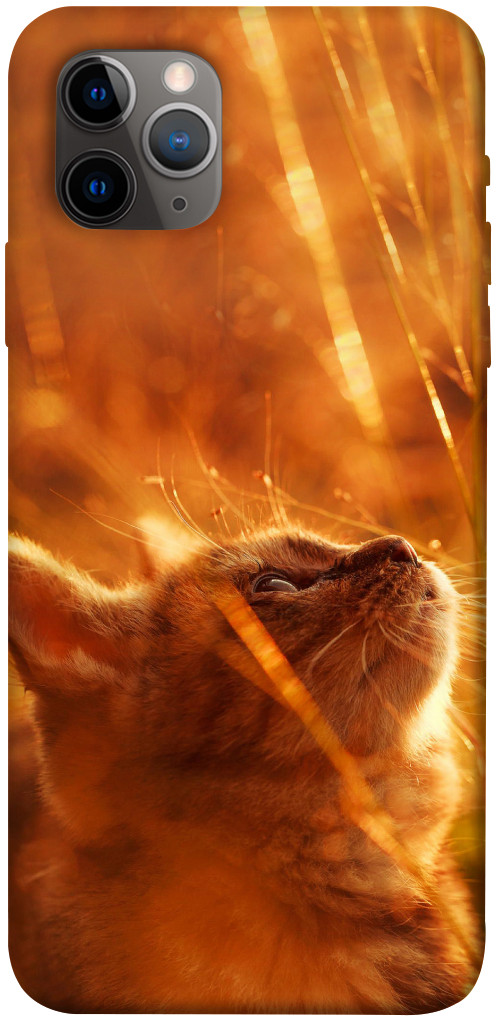 Чехол Magic cat для iPhone 11 Pro Max