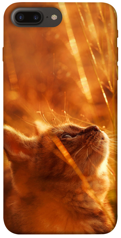 Чехол Magic cat для iPhone 7 Plus