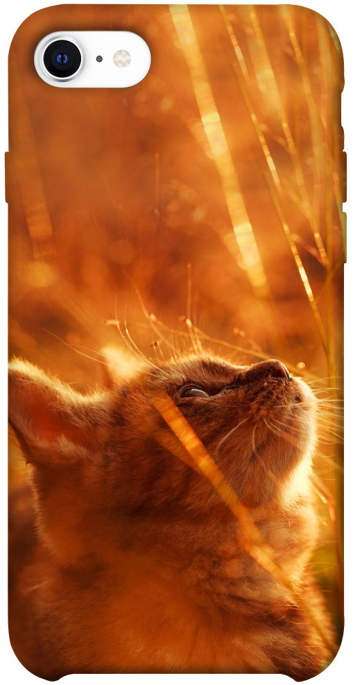 Чехол Magic cat для iPhone SE (2020)