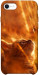 Чехол Magic cat для iPhone SE (2020)