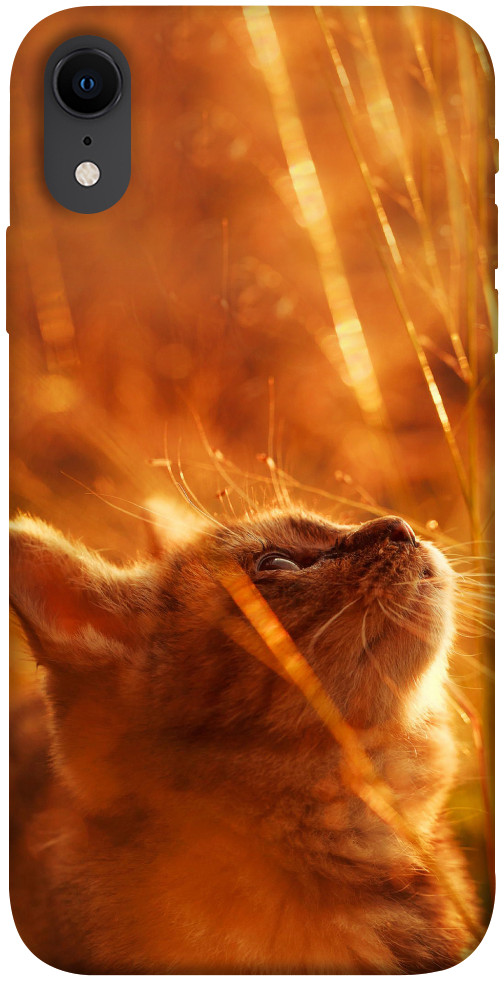 Чехол Magic cat для iPhone XR