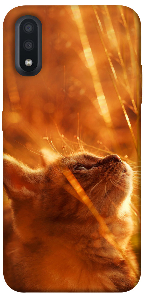 Чехол Magic cat для Galaxy A01