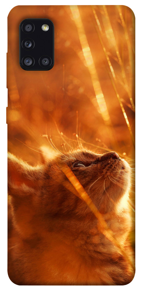 Чехол Magic cat для Galaxy A31 (2020)